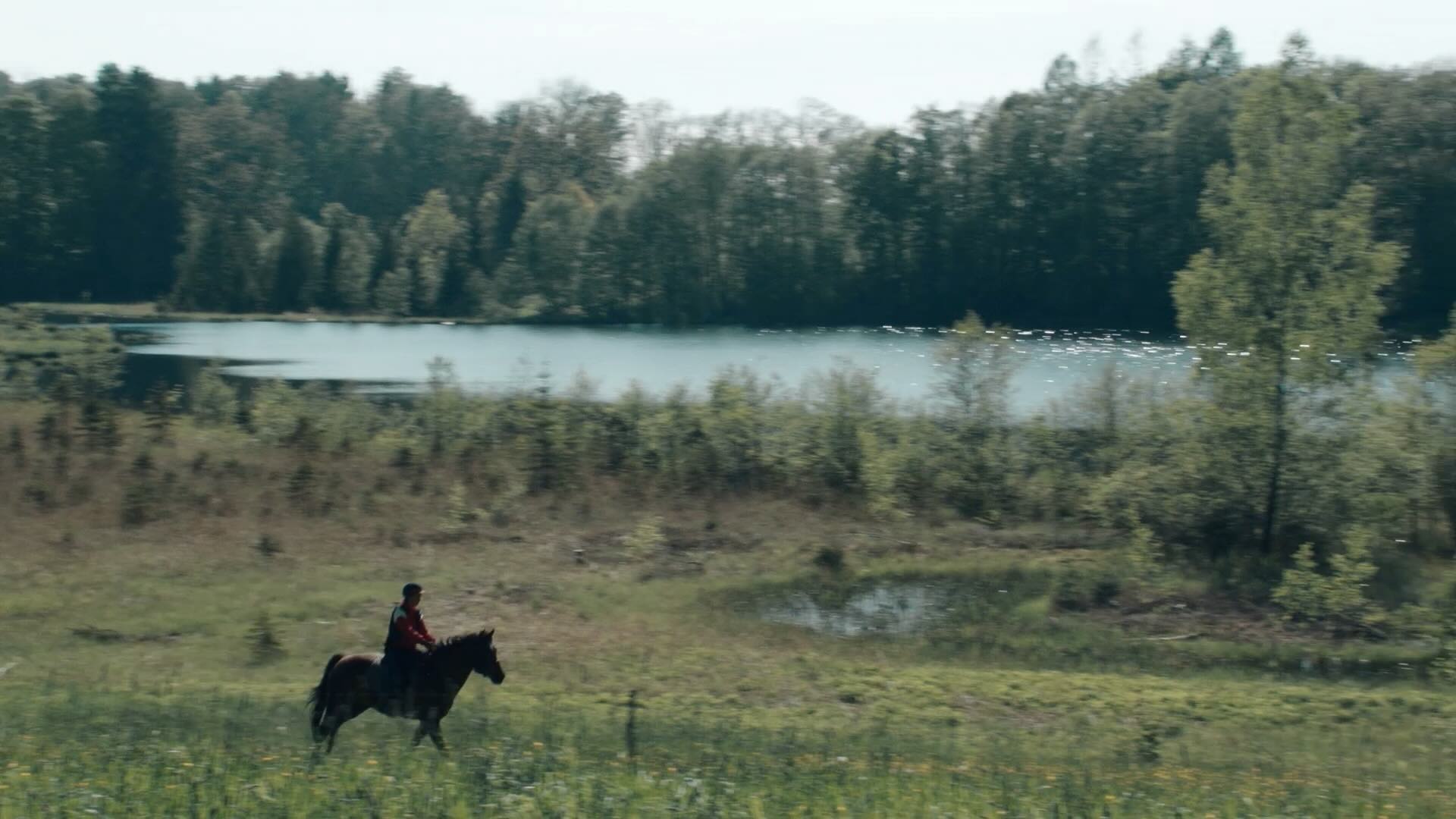 Kaltblütig